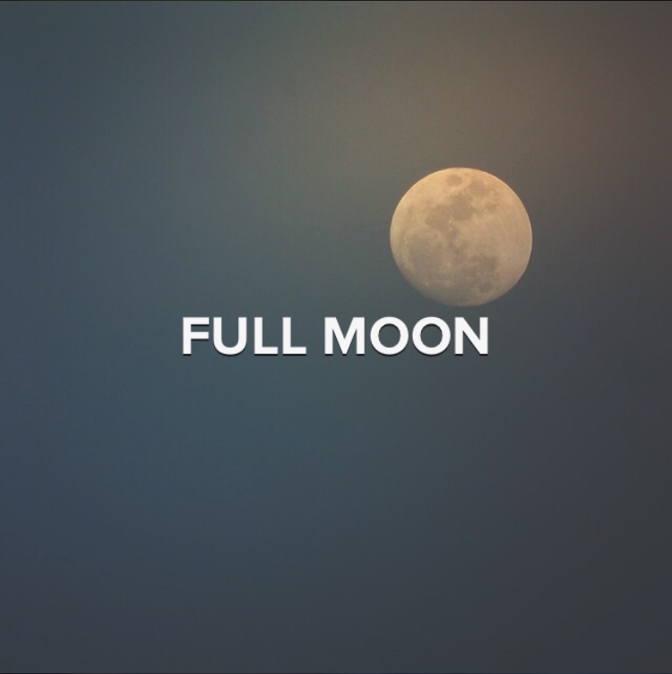 Mextures Formulas #5