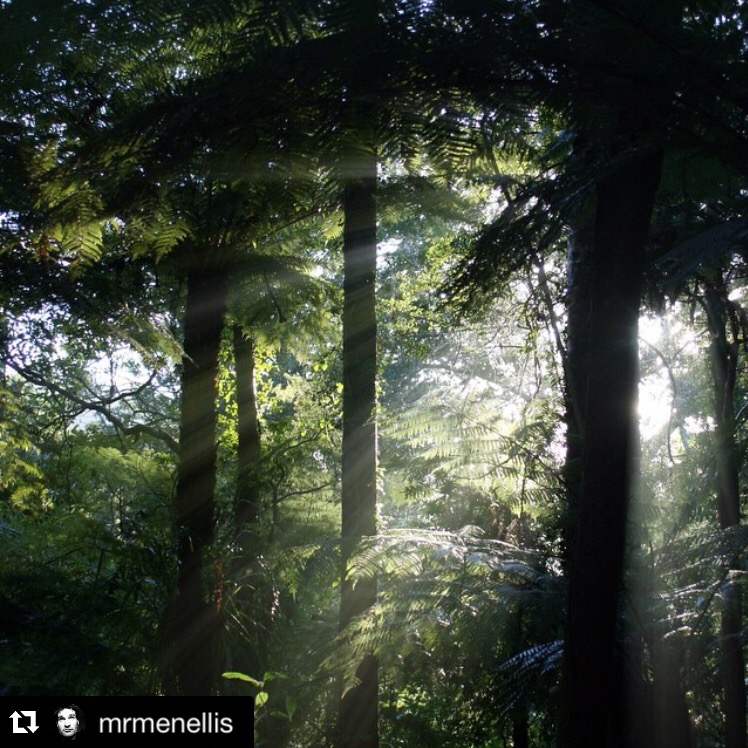 Mextures Artist Feature | @mrmenellis