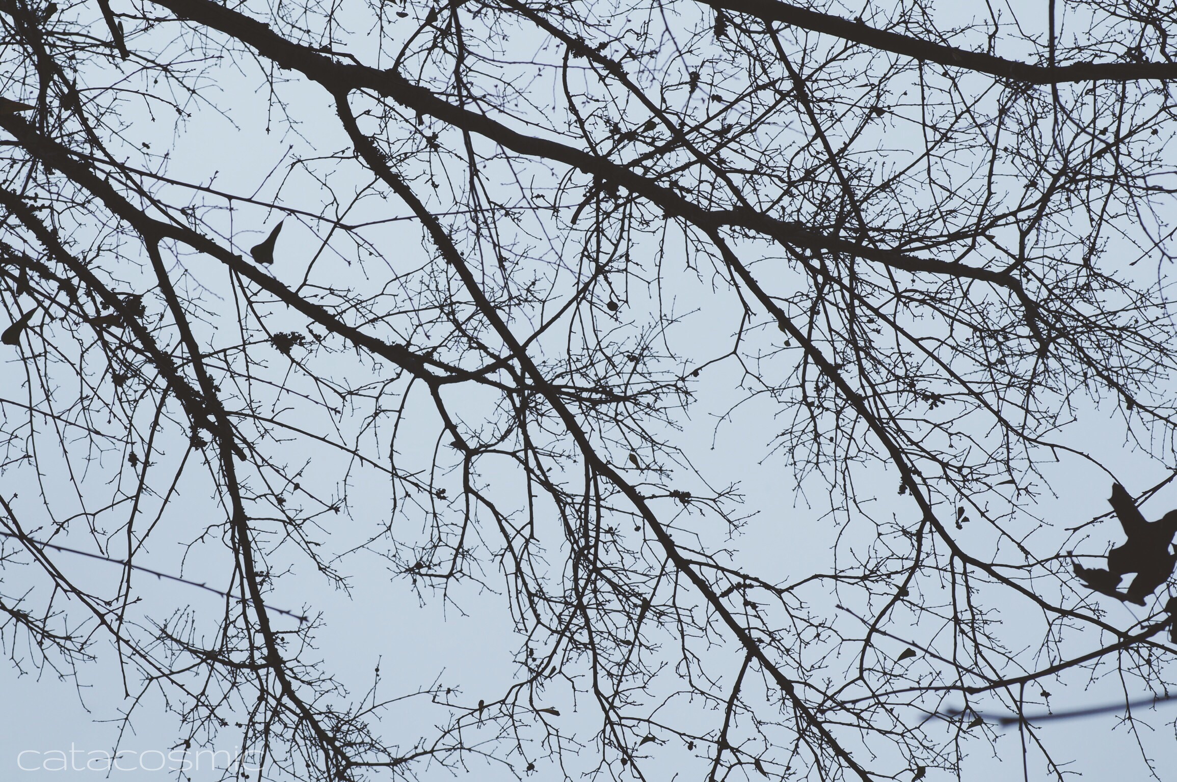 First VSCO Preset: Winter