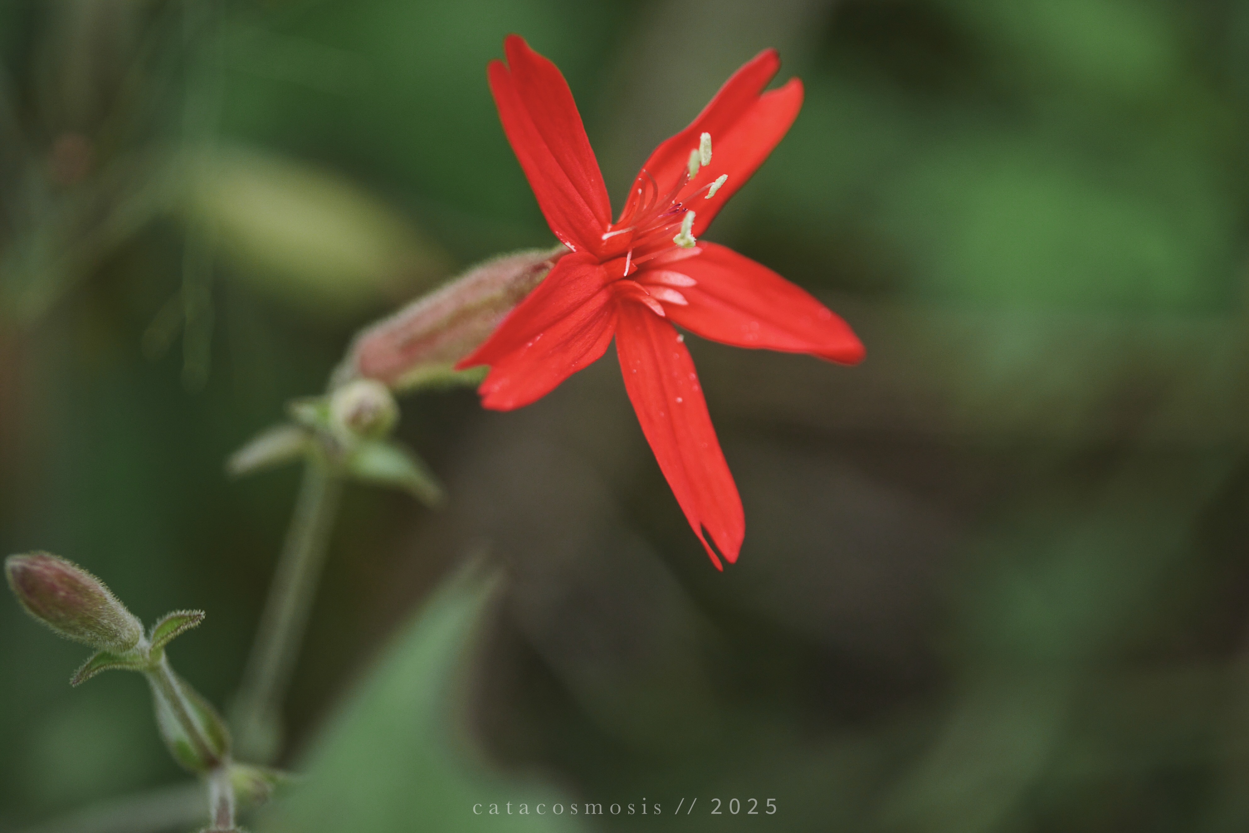 Seeing Red.