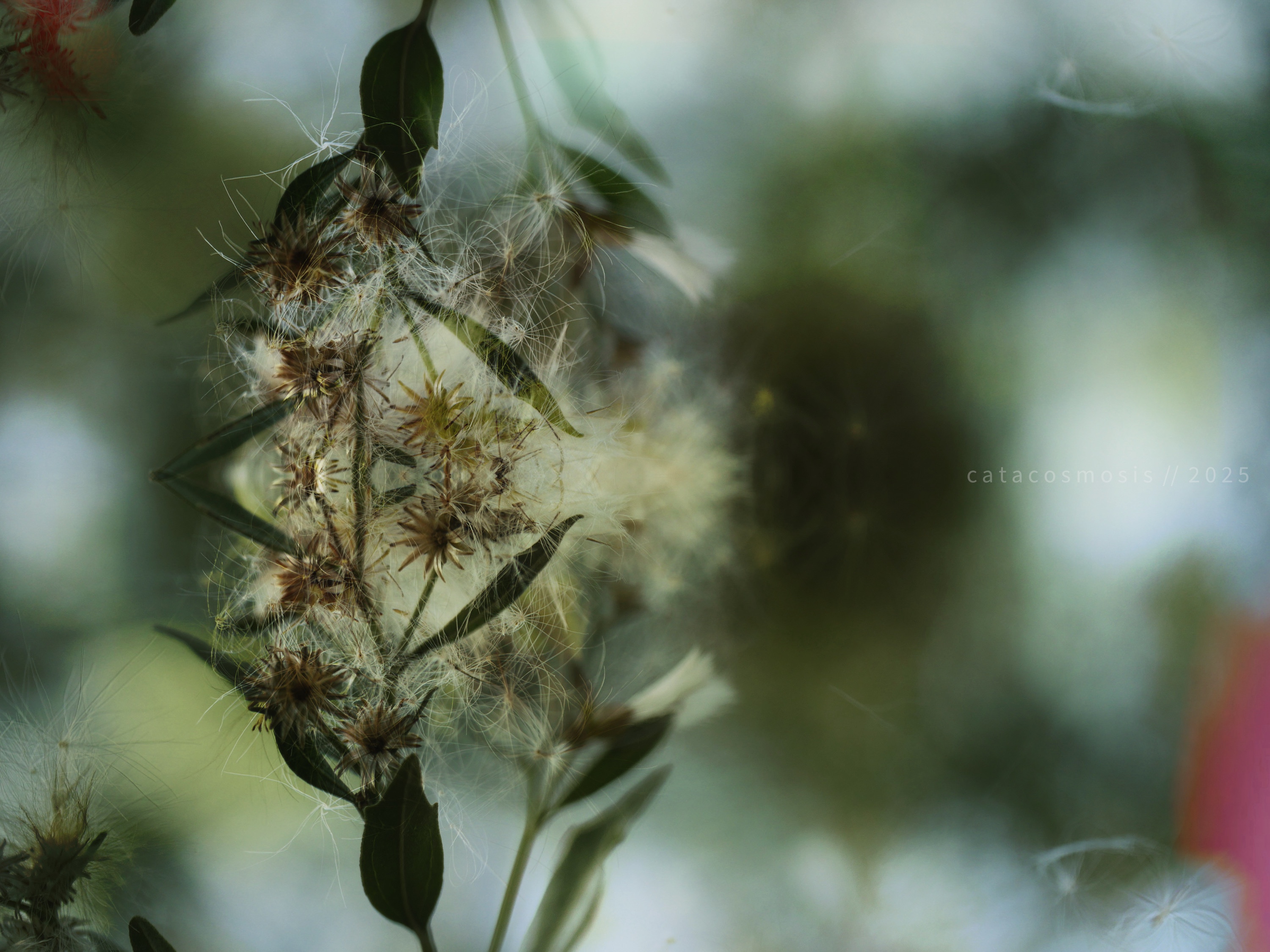 Entropy