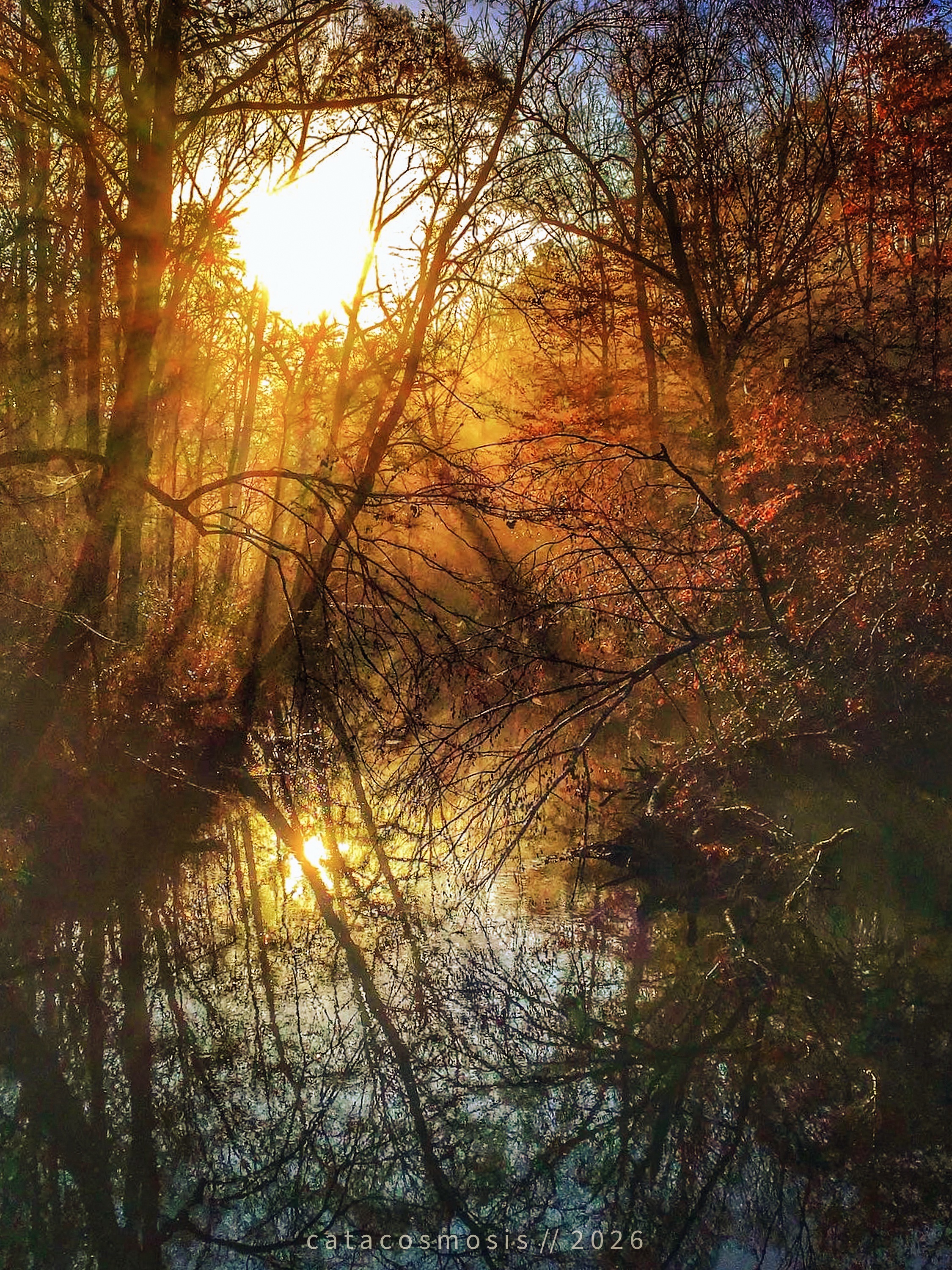 A Reflection on the Behavior of Creek Water and the Mirror of Myself as the Mother of an Autistic Boy