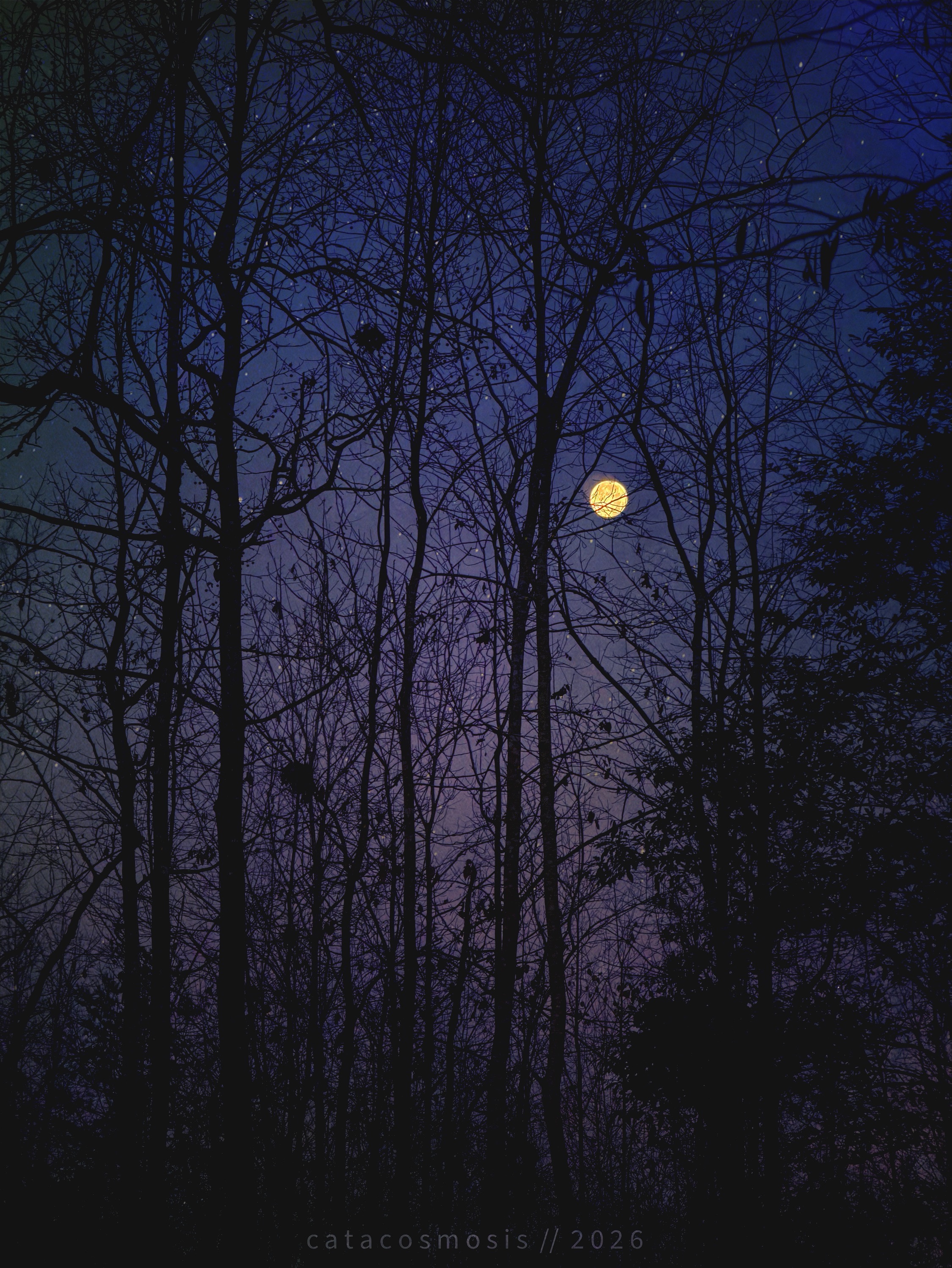 Stargazer